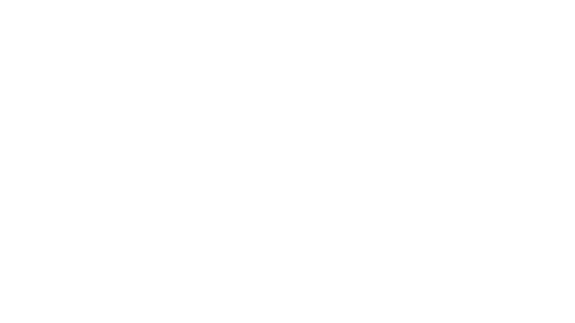 The Volpe Report
